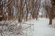 DSC_1391-1-1.jpg