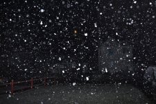 DSC_0068 (800x533).jpg