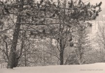 jan 13.jpg
