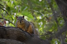 _DSC1265.jpg