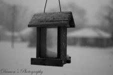 DSC7230-L.jpg