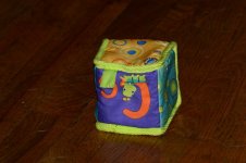 DSC_0174 (800x533).jpg