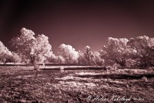 _SSC0125-Edit.jpg