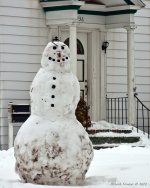 DSC_1631-1-1.jpg