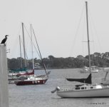 DSC_0201.jpg