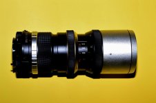 DSC_0178 (800x533) (2).jpg