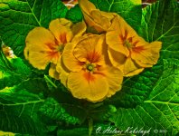 _SSC0236-Edit-Edit.jpg