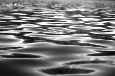 water-s-bw sm.jpg