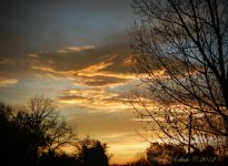SunKissedCloudsDay28.jpg