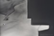 shadow.jpg