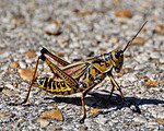 1021310622_UHi96-Th-1.jpg