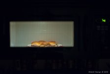 DSC_1797-1-1.jpg