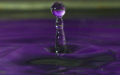 Purple resize.jpg
