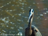 _DSC0109.jpg _DSC0109.jpg