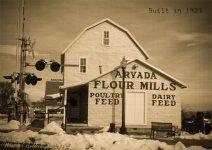 FlourMillDay39 plus yellow.jpg