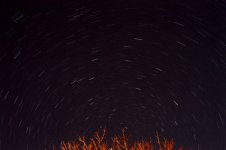 DSC_0001 (800x532).jpg