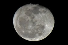 DSC_0005 (800x534).jpg