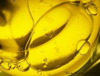 OilandWaterDay45.jpg