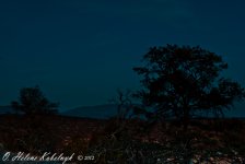 _SSC0189-Edit-2.jpg