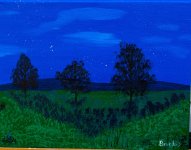 Evening on a Hilltop.jpg