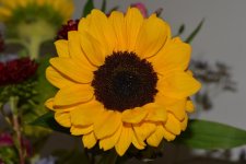 DSC_0908.jpg