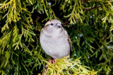 DSC_7559.jpg