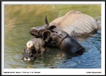 DSC_5630_1.jpg