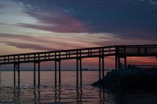 Nikonites-53-3.jpg