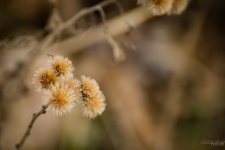 Day53-1.jpg