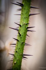 Day53-2.jpg