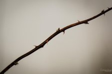 Day53-3.jpg