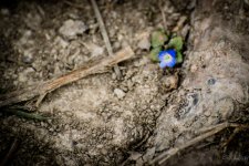 Day53-4.jpg