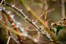 Day53-5.jpg