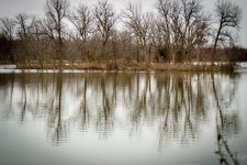 Day53-7.jpg