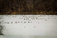 Day53-8.jpg