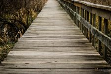 Day53-9.jpg