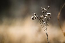 Day53-13.jpg