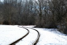 DSC_2248.jpg