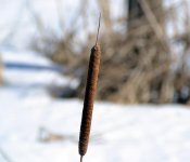 DSC_2253.jpg