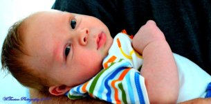 Oliver 2-23-2014.jpg