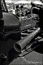 DSC_9086 bw.jpg