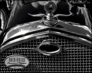 DSC_9125 bw.jpg