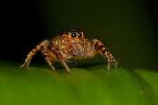 DSC_4804.jpg