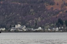 houses web.jpg