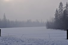 NIK_4661.jpg