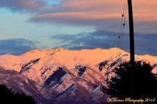 Bird on a Wire in the Mountains.jpg