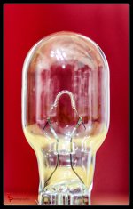 Day55Bulb.jpg