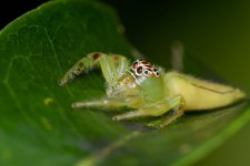 DSC_4787.jpg