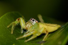 DSC_4788.jpg