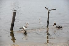 DSC_0493.jpg